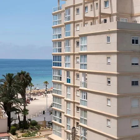 Cozy Apolo Xiv Seaview